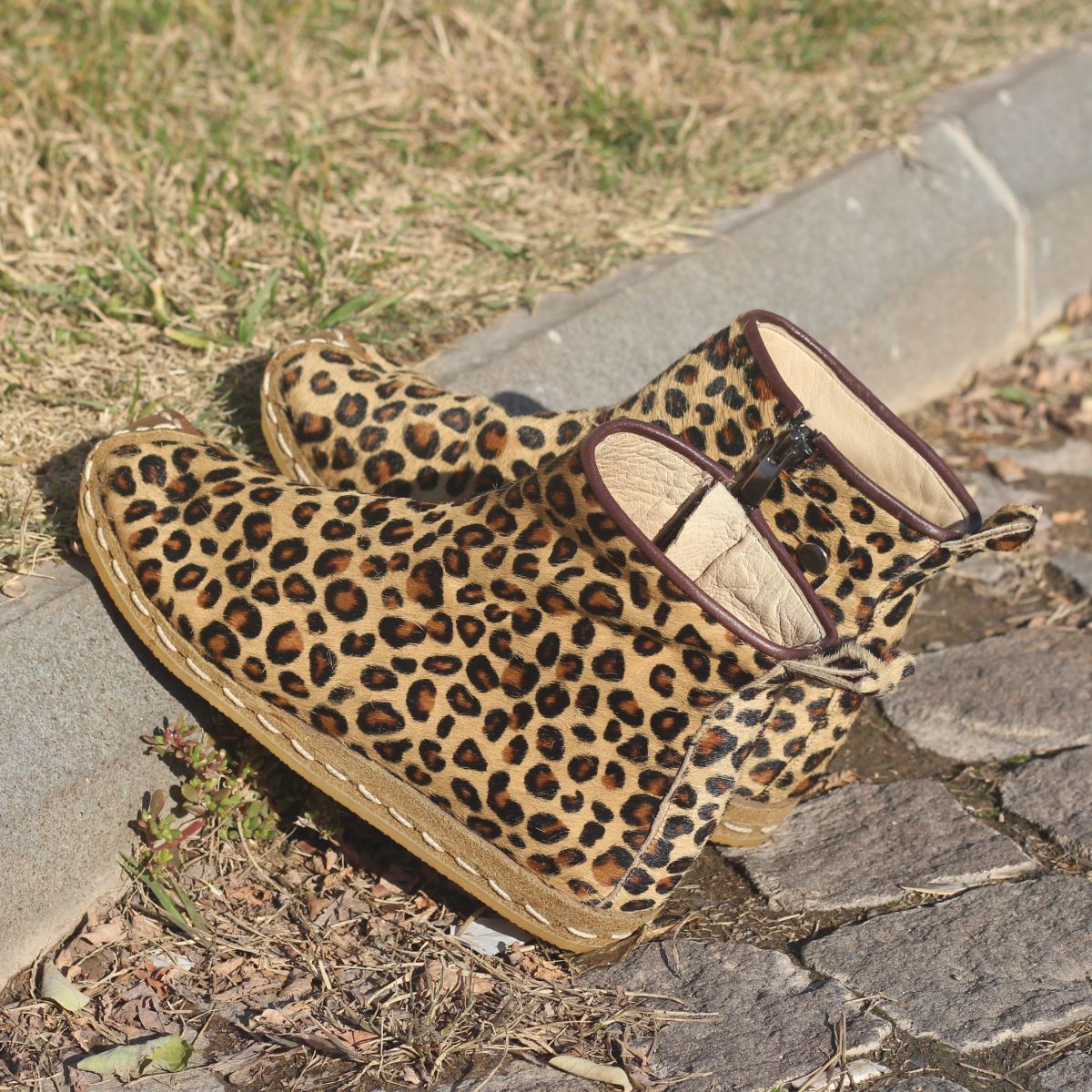 leopar2